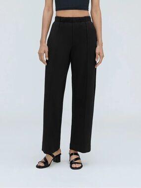Everlane Black Wide-Leg Pleated Front Pants-Dream Pant